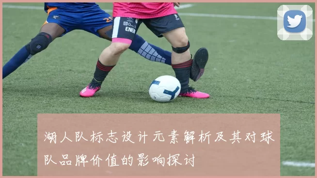 湖人队标志设计元素解析及其对球队品牌价值的影响探讨